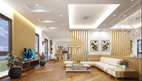 NHÀ PHỐ TÂN PHÚ