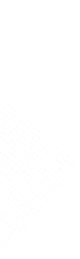 NHÀ PHỐ TÂN PHÚ